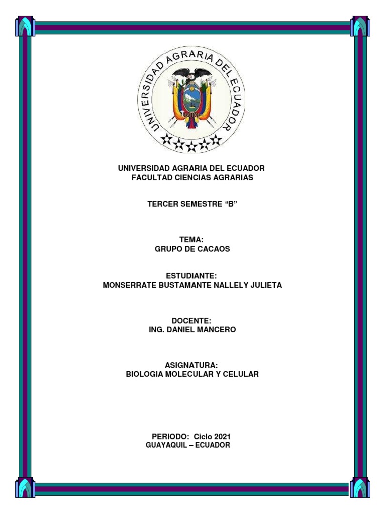 Trabajo Cacao Pdf Chocolate Ecuador