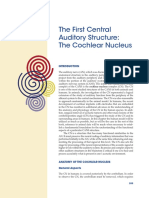 The First Central Auditory Structure: The Cochlear Nucleus