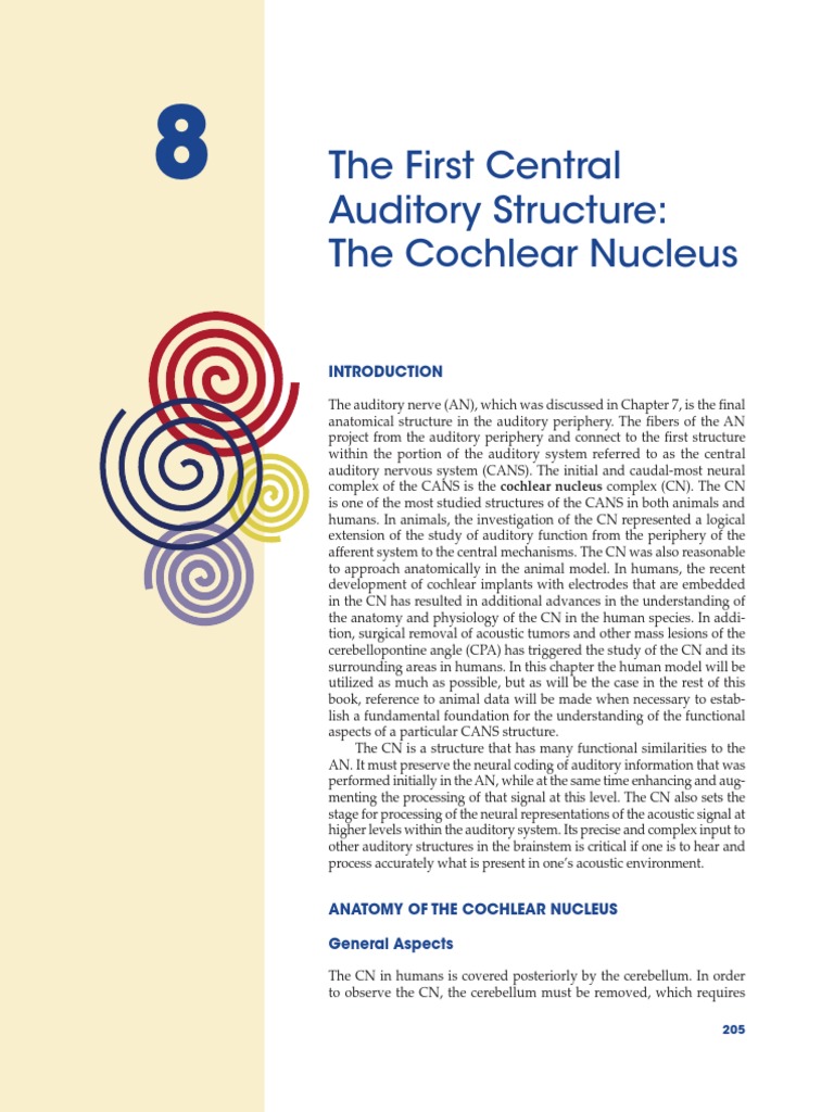 The First Central Auditory Structure: The Cochlear Nucleus | PDF ...