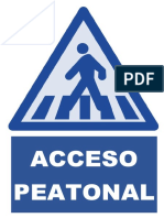 Acceso Peatonal2