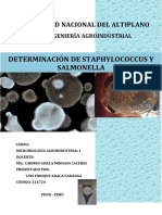 Determinación de Staphylococcus Y Salmonella: Niversidad Nacional Del Altiplano