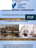 1.2.3 Explotacion de Guano y Salitre