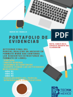 Portafolio General.