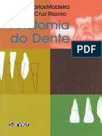 Resumo Anatomia Do Dente Miguel Carlos Madeira