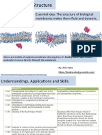 Essential Idea: The Structure of Biological Membranes Makes Them Fluid and Dynamic