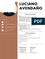 CV Luciano Avendaño