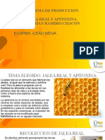 Jalea Real y Apitoxina, alimentos de abejas