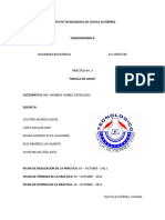 P 5 Mezcla de Gases