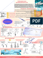 Infografia Técnicas Quirúrgicas
