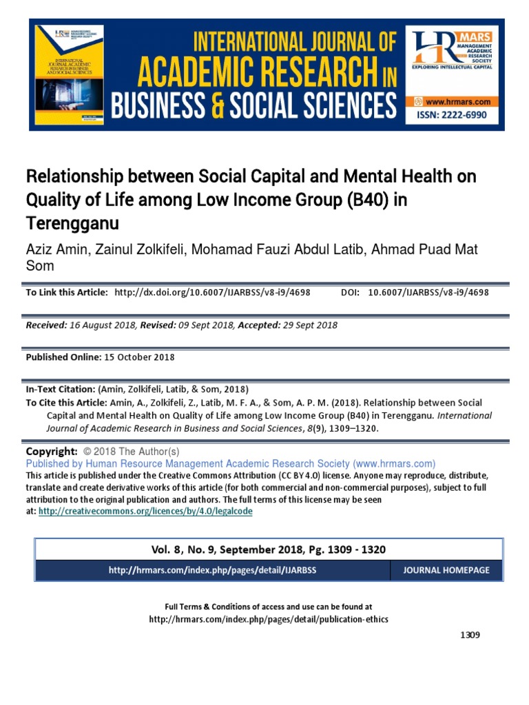 Social Capital and Mental Health | PDF