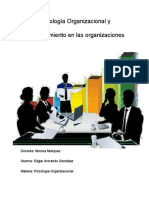 Psicología Organizacional y Comportamiento en Las Organizaciones