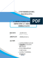 Lab Hidraulica