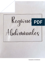 Regiones Abdominales