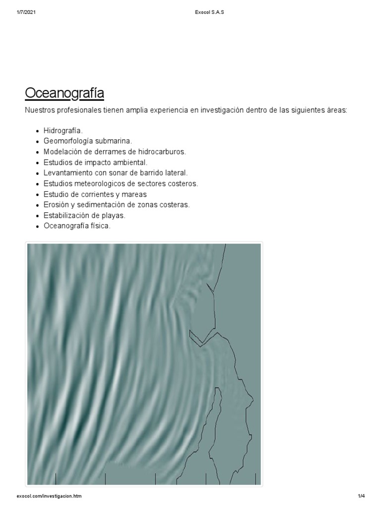 Exocol S.A.S2 | PDF | Informática | Tecnología