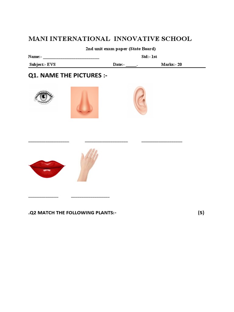 1st State Board Evs Pdf
