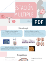 Gestación Múltiple