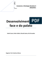 Desenvolvimento Da Face e Do Palato