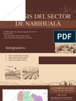 Análisis del sector de Narihualá