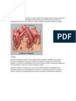 Clasificación de Drenajes