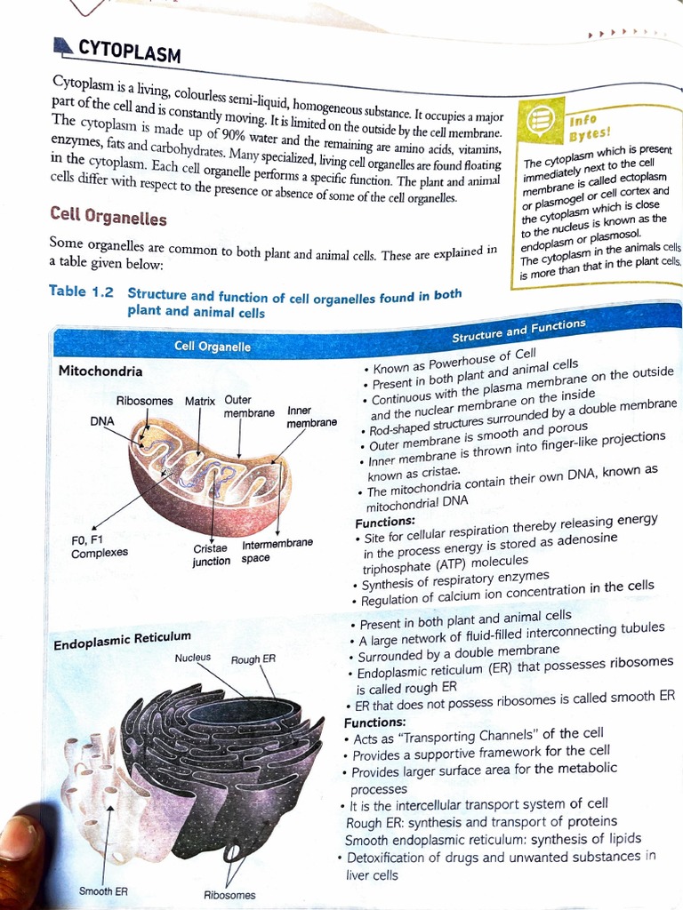 Class 10 Biology PDF Cell Biology Biochemistry