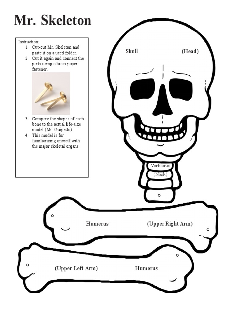 Mr. Skeleton | PDF