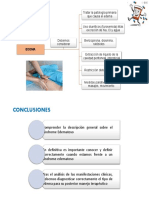 Tratamiento y Conclusiones