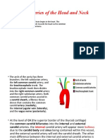 Major Arteries of The Head and Neck