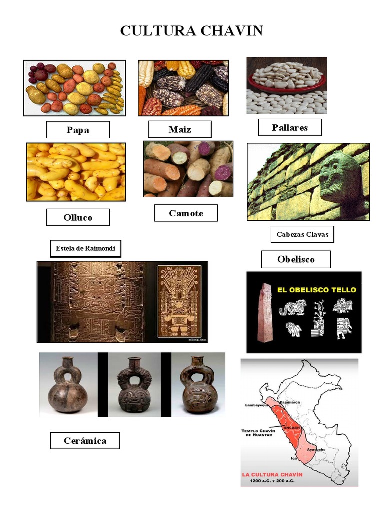 Cultura Chavin | PDF