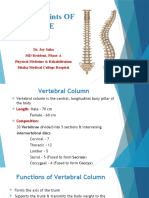 Bones & Joints of Spine