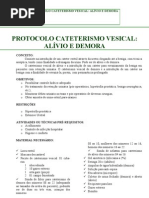 4 PROTOCOLO CATETERISMO VESICAL ALÍVIO E DEMORA
