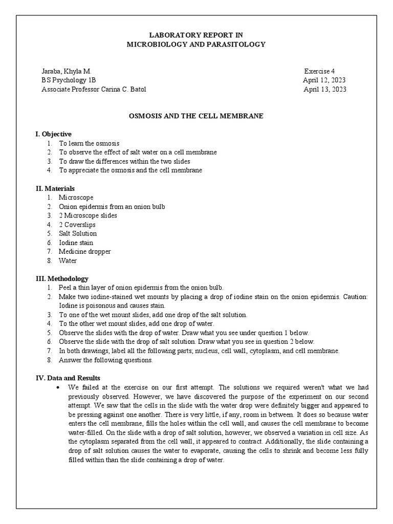 Observing Osmosis An Experiment on the Effect of Salt Water on Onion