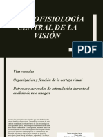 Neurofisiología Central de La Visión