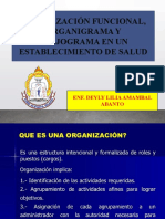 Organización Funcional, Organigrama Y Flujograma en Un Establecimiento de Salud