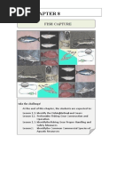 Fish Capture Methods and Tools | PDF | Equipment | Outdoor Recreation