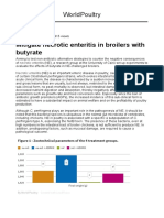 Butyrate and Necrotic Enteritis in Broilers