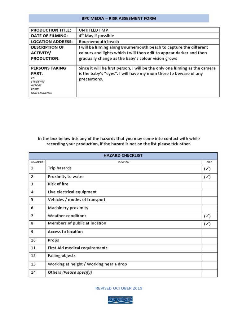 BPC Risk Assessment PDF Hazards