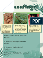 Camouflage Reading (3º Prim)