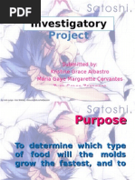 Download Investigatory Project by ruby_2012 SN6409200 doc pdf