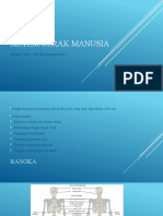 Sistem Gerak Manusia: Rangka, Sendi, Otot Dan Gangguannya