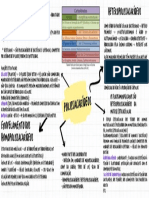 Mapa Mental Polissacarídeos