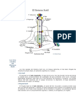 Chakras y Canales Sutiles