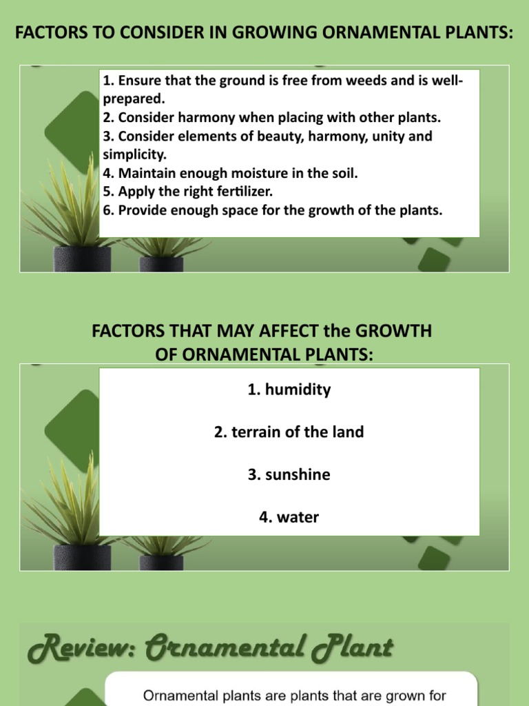 Ornamental Plants PDF