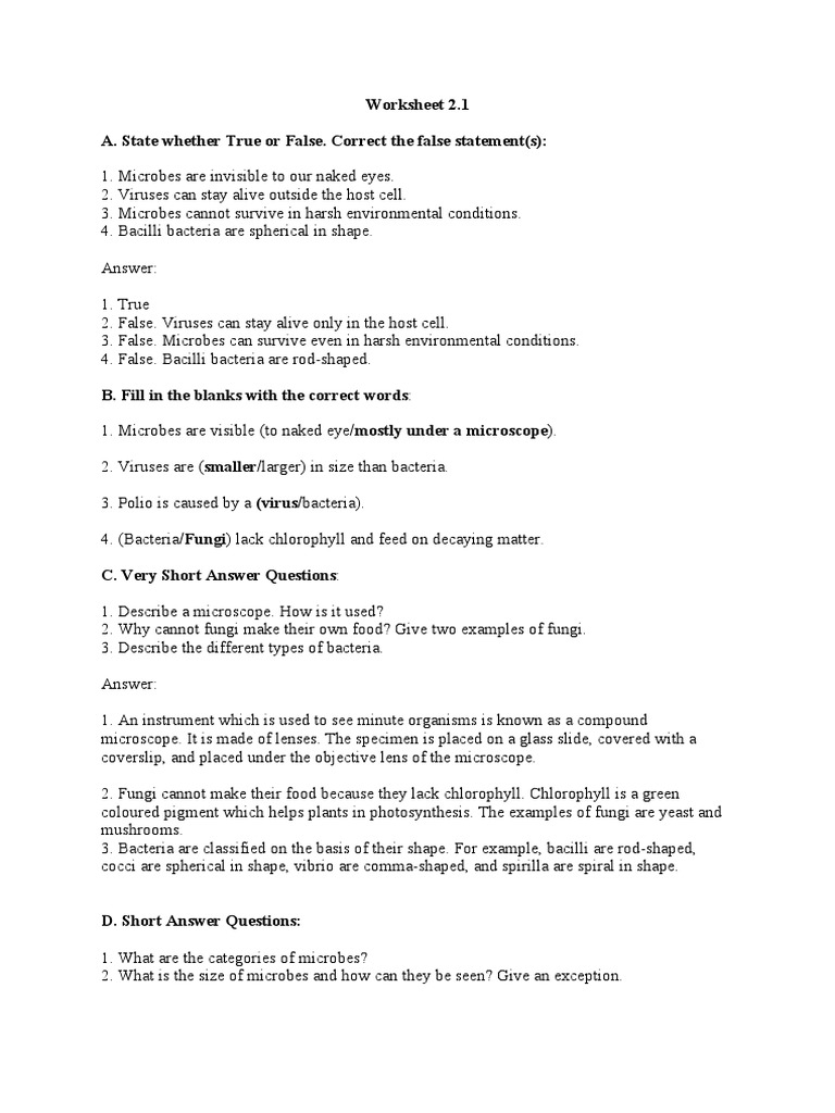 Microbiology Basics for Students | PDF | Food Preservation | Microorganism