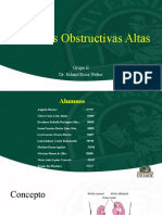 Uropatías Obstructivas Altas: Grupo E Dr. Erland Roca Weber