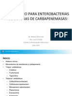 Tratamiento para Enterobacterias Productoras de Carbapenemasas