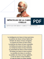 Músculos de La Cabeza y El Cuello