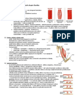 Myologie, Prehled Svalovych Skupin Cloveka