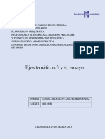 Ejes Temáticos 3 y 4 Ensayo