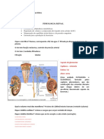 Fisiologia Animal (RENEAL ANOTAÇÃO)