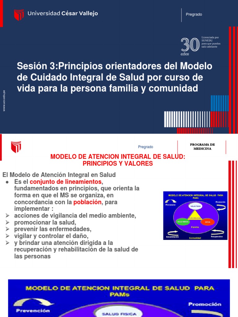 sesi-n-3-principios-orientadores-del-modelo-de-cuidado-integral-de
